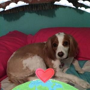 Meet your Posher, Phil marie